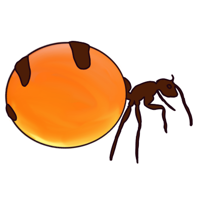 a specialised worker honeypot ant, a dark red ant with a huge abdomen that is mostly clear and filled with honey